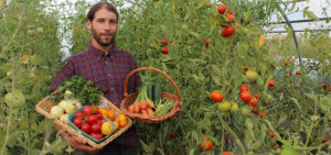 Panier légumes bio - Ferme biologique Saint-Vincent
